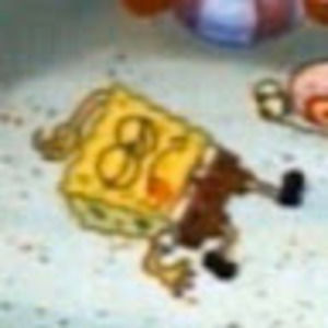 Meet your Posher, Rose